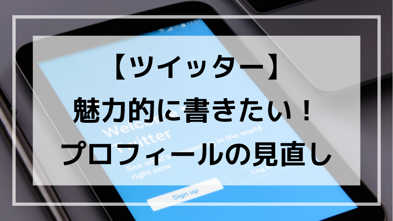 Twitterのプロフィールを書き直しました ことろぐライフ